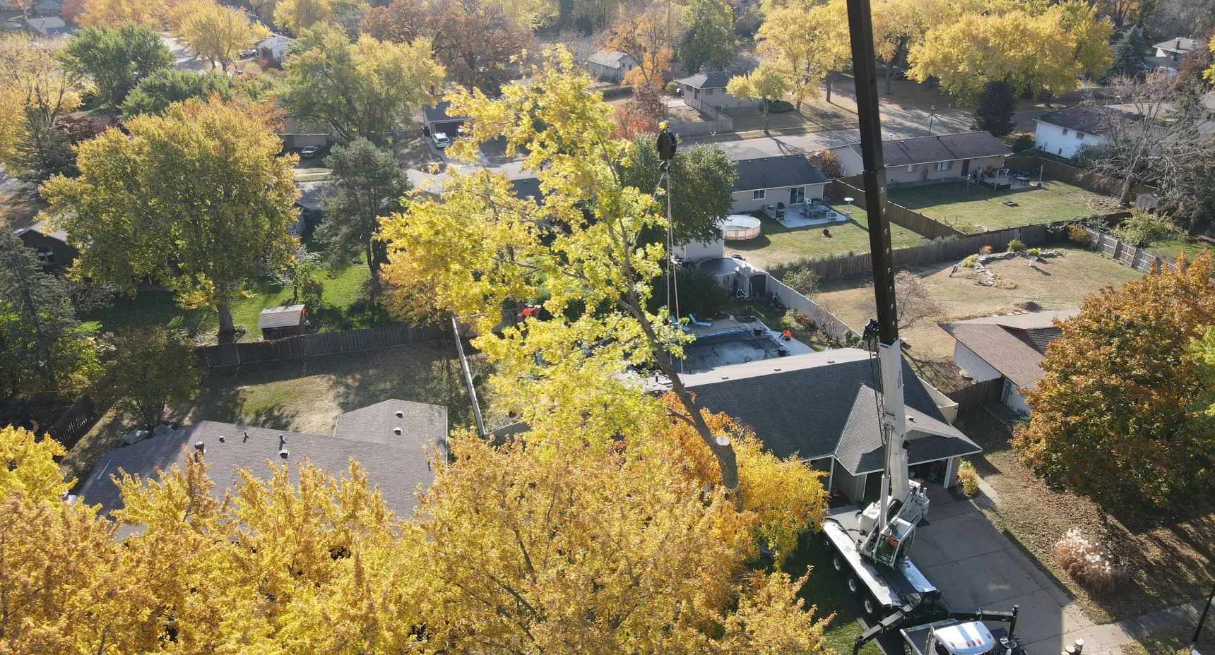 Perfect Landscape Tree Removal